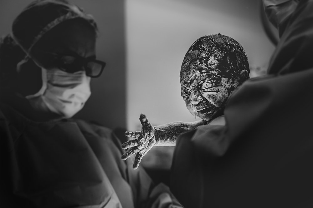 Фотография автора Meg Leite