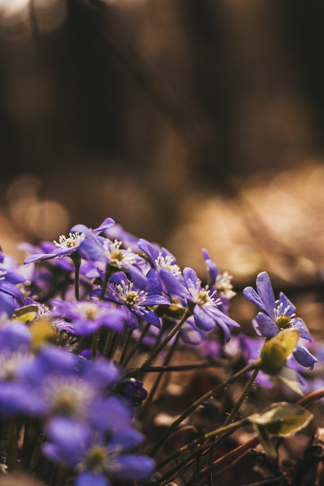 Photograph by Вероника Вербицкая