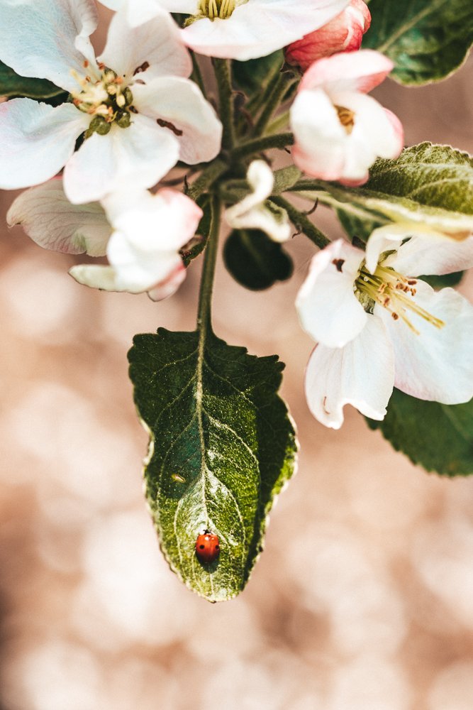 Photograph by Вероника Вербицкая
