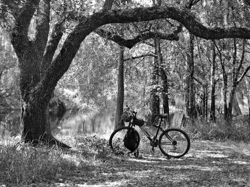 Photograph by MARIO HUMBERTO GARCIA GONZALEZ