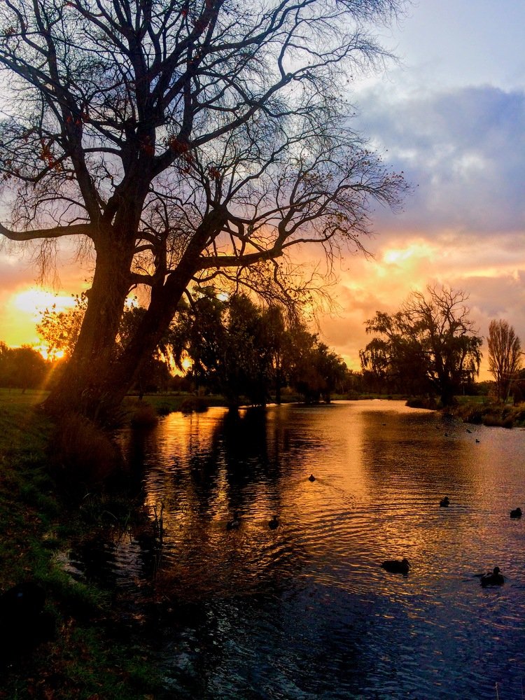 Photograph by Ron Fraser Henderson