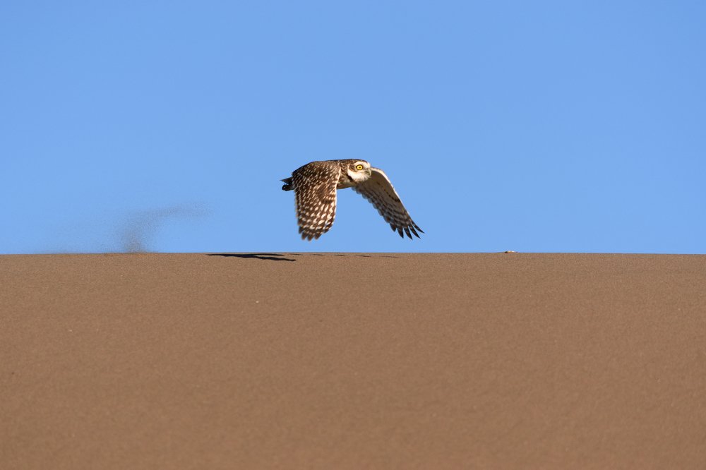 Photograph by Lucia Ana Juárez