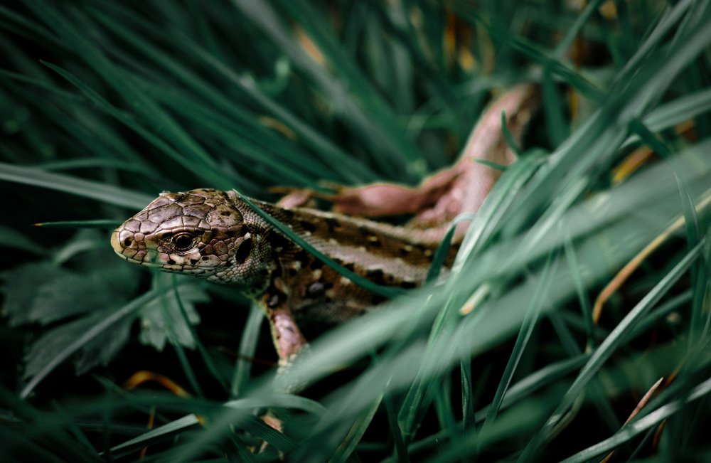 Photograph by владимир верёвкин