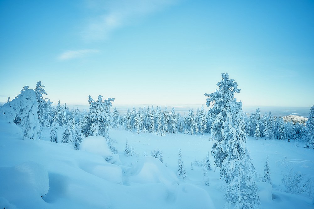 Photograph by Елена Мормоль