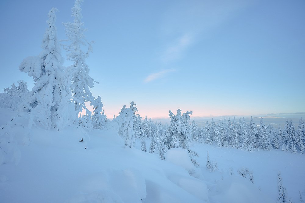 зимнее утро