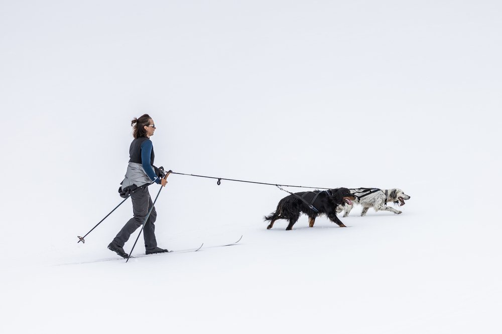 Photograph by Arturas Gailius