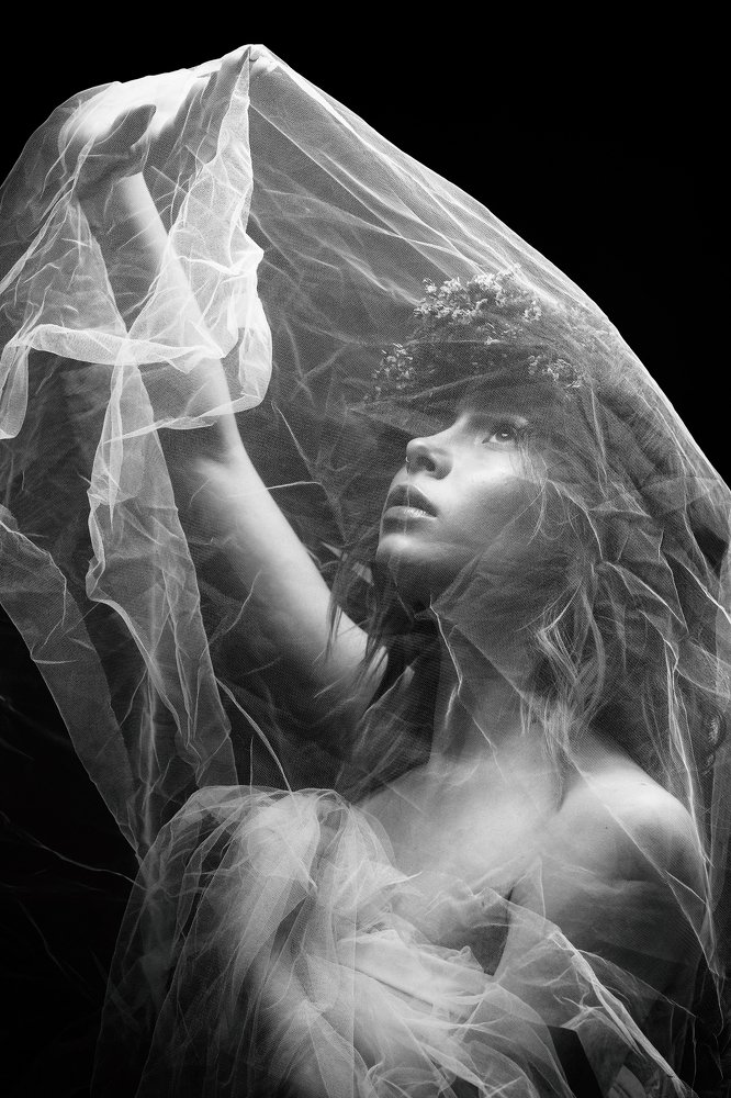 Фотография автора Pavel Skvortsov