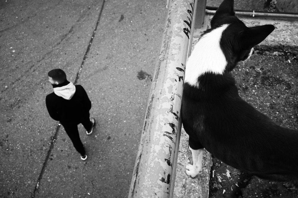 Photograph by Harun Gültürk