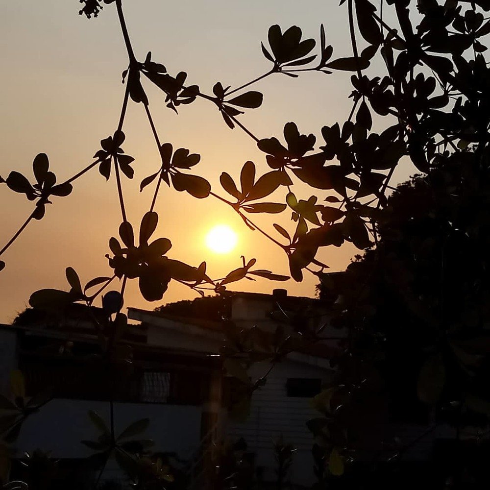 atardecer bajo las sombras