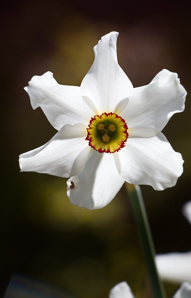 Photograph by Евгений Михеев