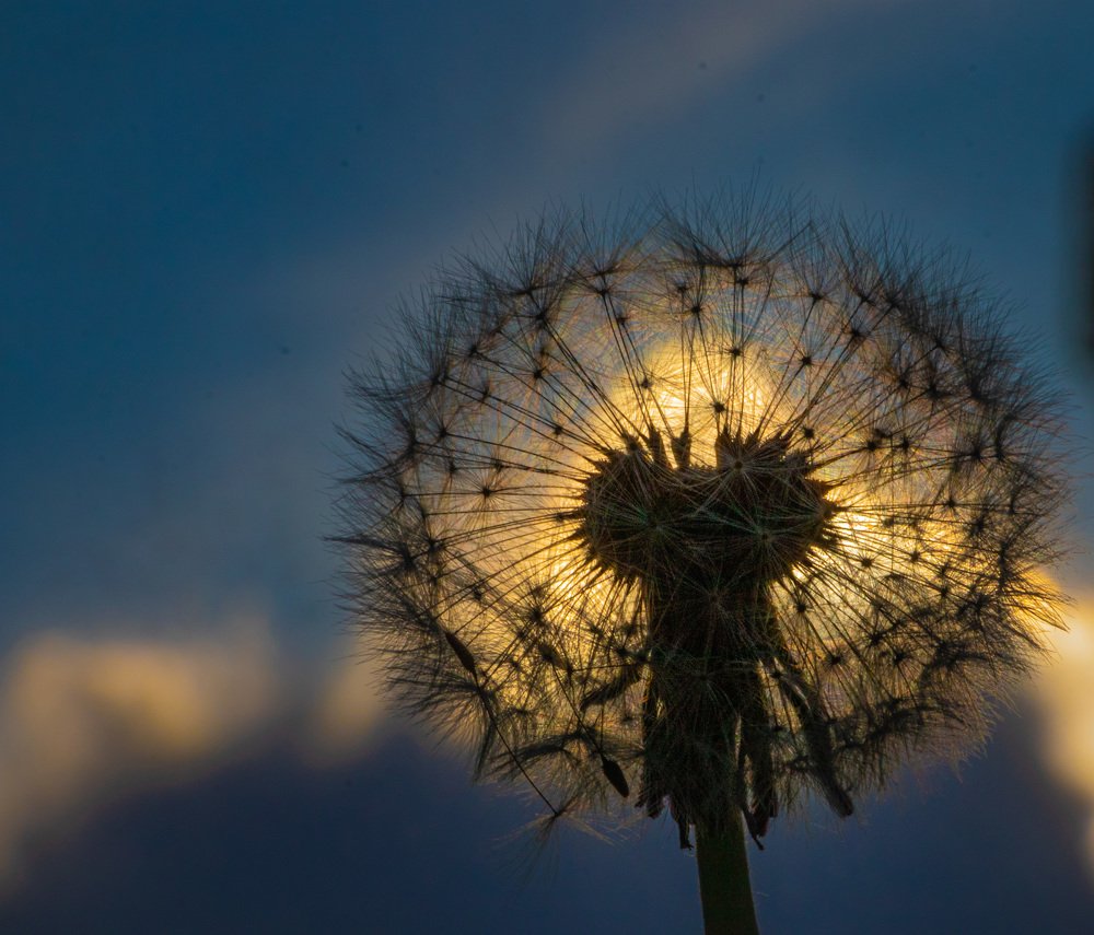 Photograph by Евгений Михеев