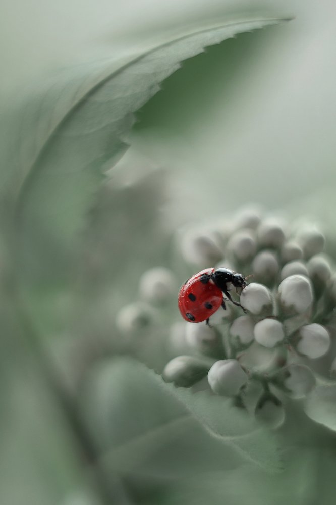 Photograph by Воинкова Ирина