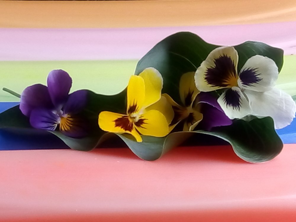 Photograph by Rehana