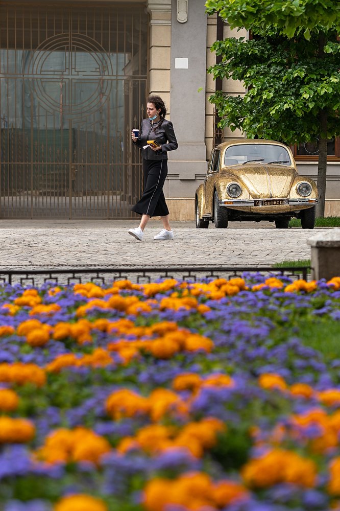 Фотография автора Cornelia Ghergut