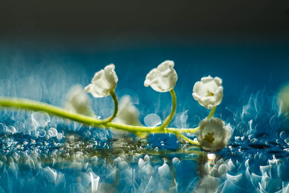 Photograph by Наталья Лещинская