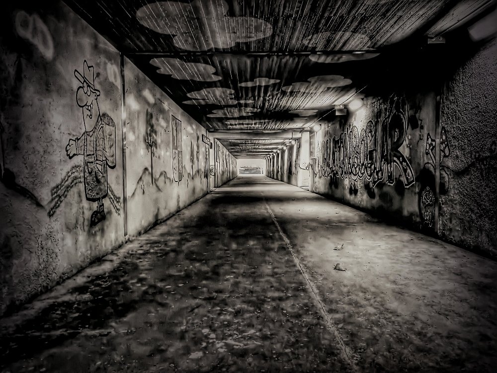 Photograph by Sandor Zoltan Gal