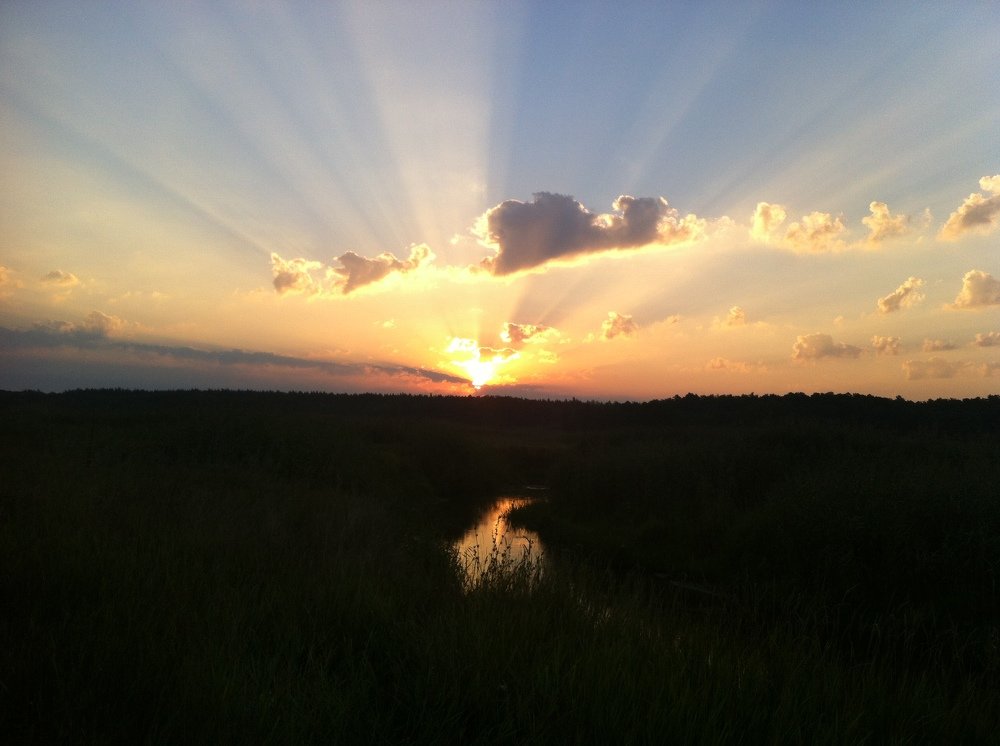 Photo #4614886
