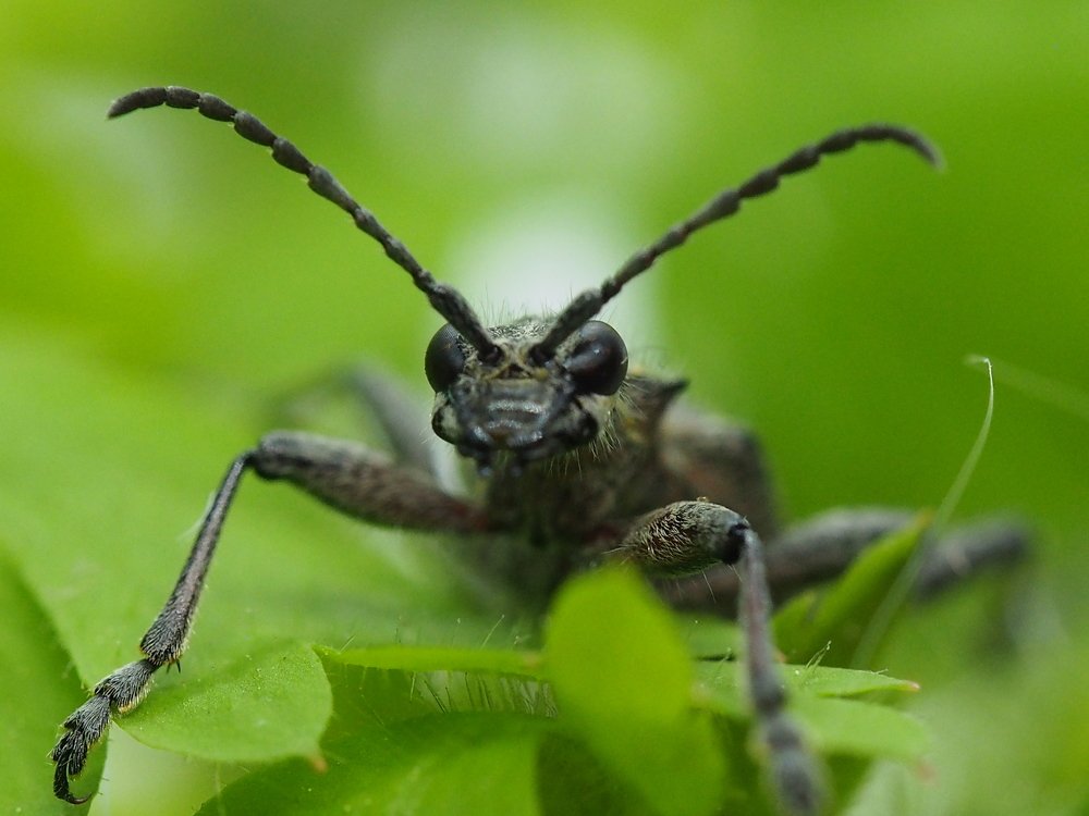 Photograph by Алексей Голубев