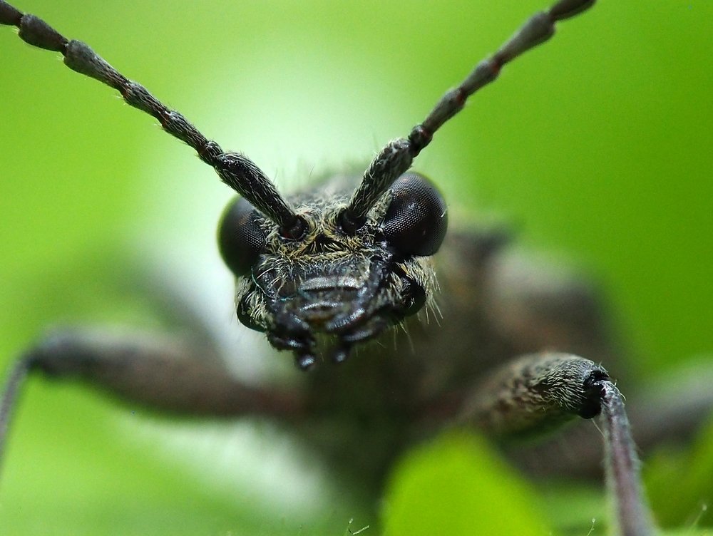 Photograph by Алексей Голубев