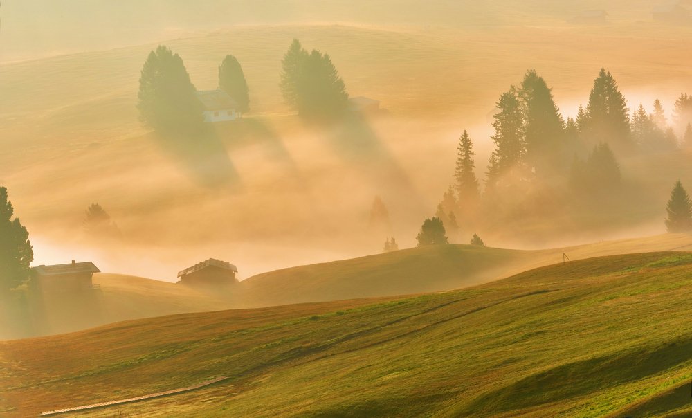 Photograph by Elena Turkov