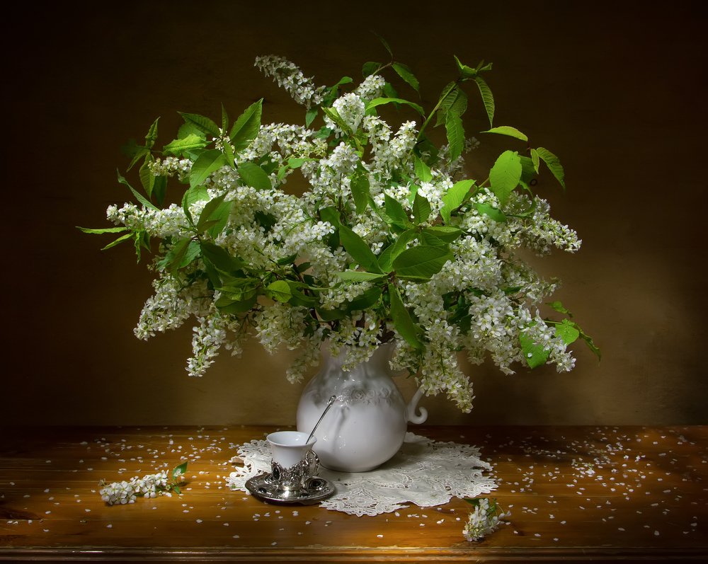 Photograph by 
