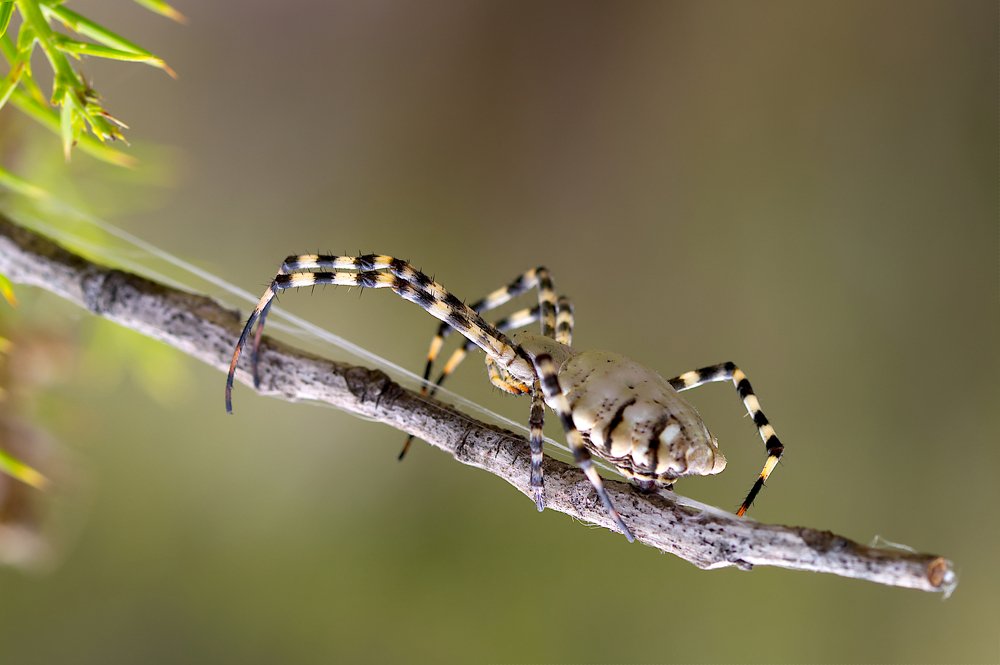 Photograph by Renatas Lileikis