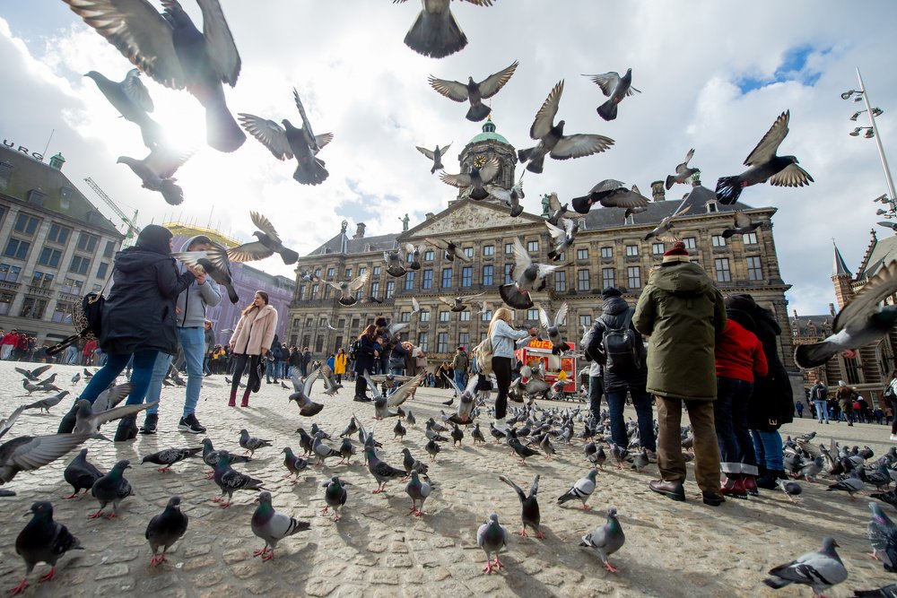 Photograph by Андрей Зуев