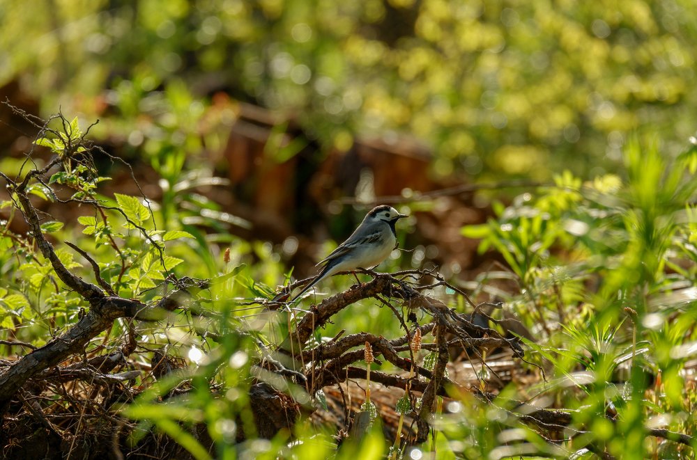 Photograph by Rustam Bekmansurov