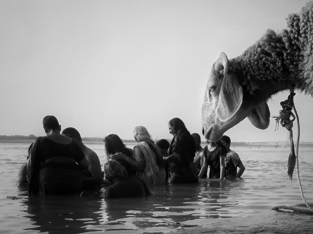 Photograph by Akash Malviya