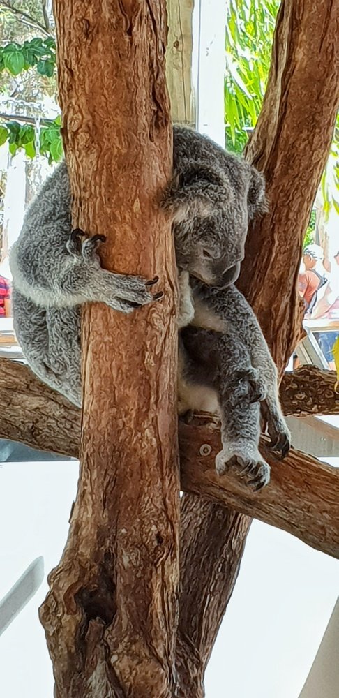 Photograph by Yuliya Naidyuk