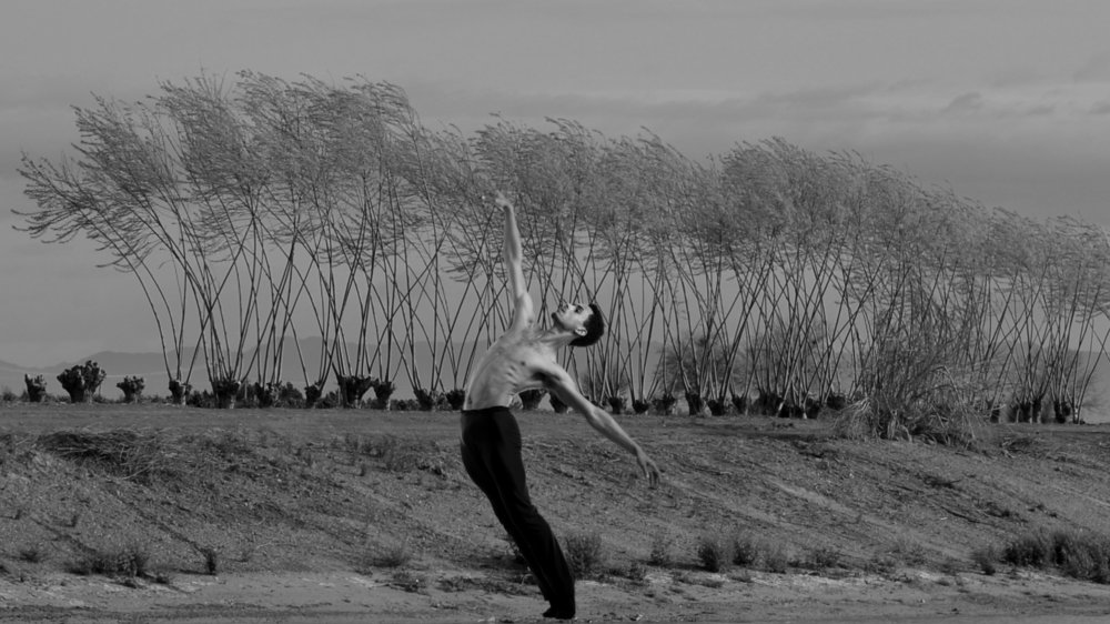 Photograph by Paria Tofangsaz