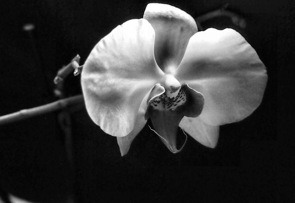 Photograph by sergio maritan