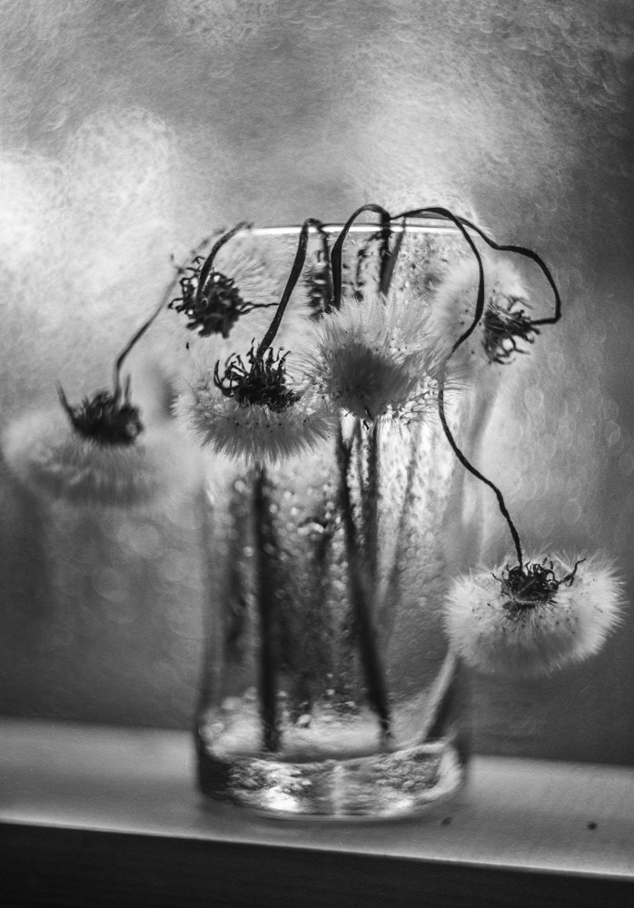 Photograph by Ольга Литвинова