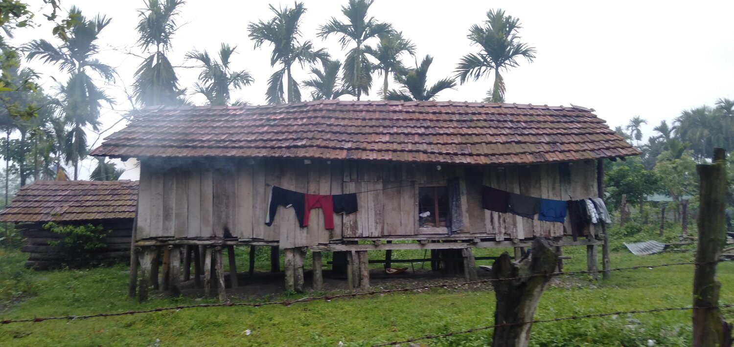 Photo #4615325