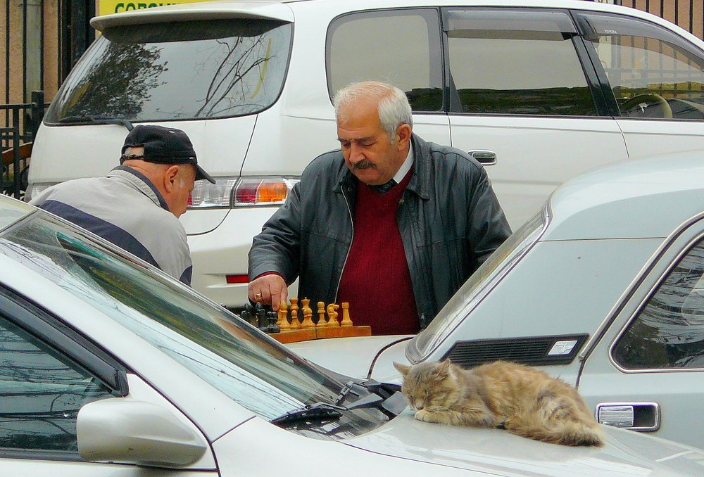 Photograph by Виктор Шандоров