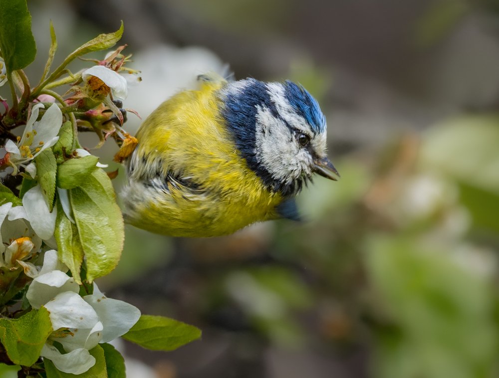 Photograph by Курлянцев Алексей