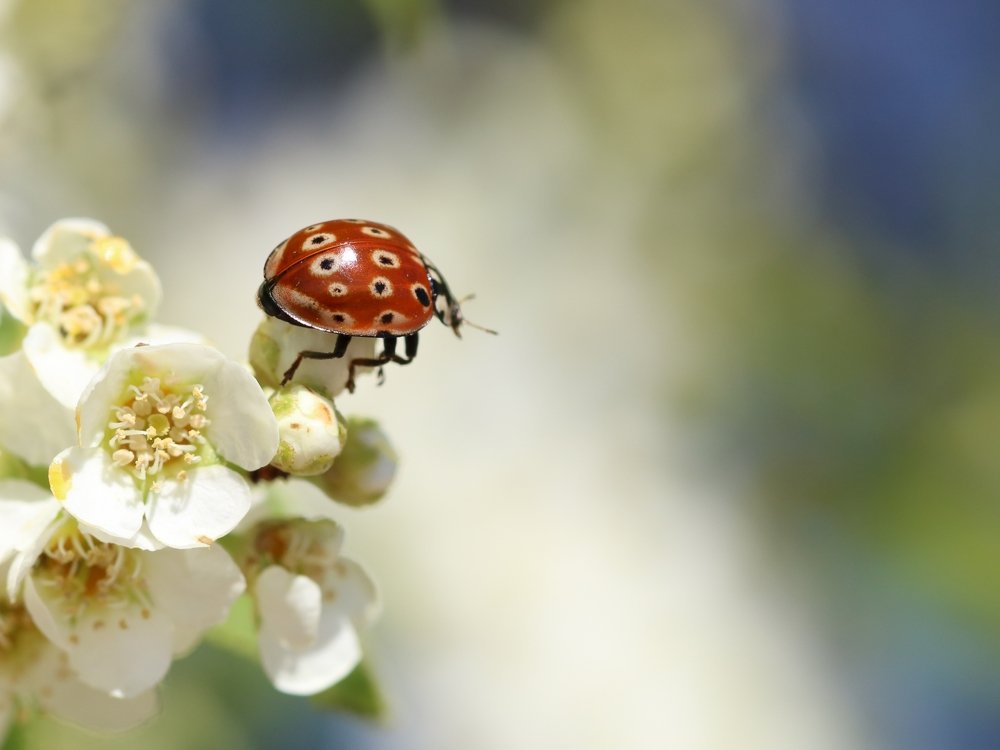 За мгновение до взлета