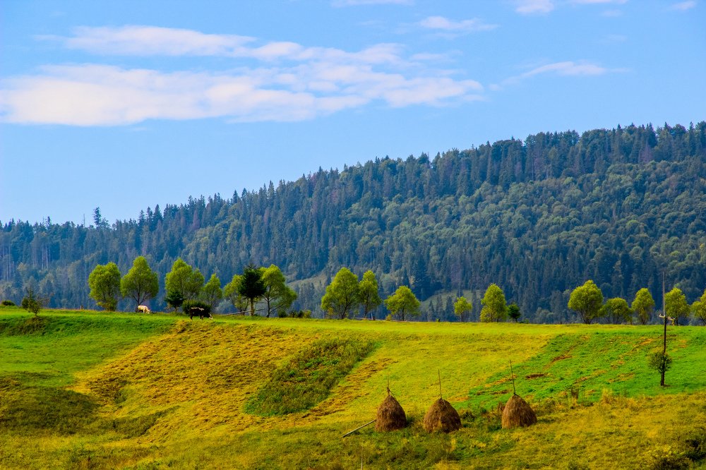 Photograph by Валерия Калиниченко