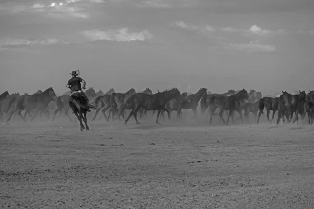 Photograph by Uğur kaygusuz