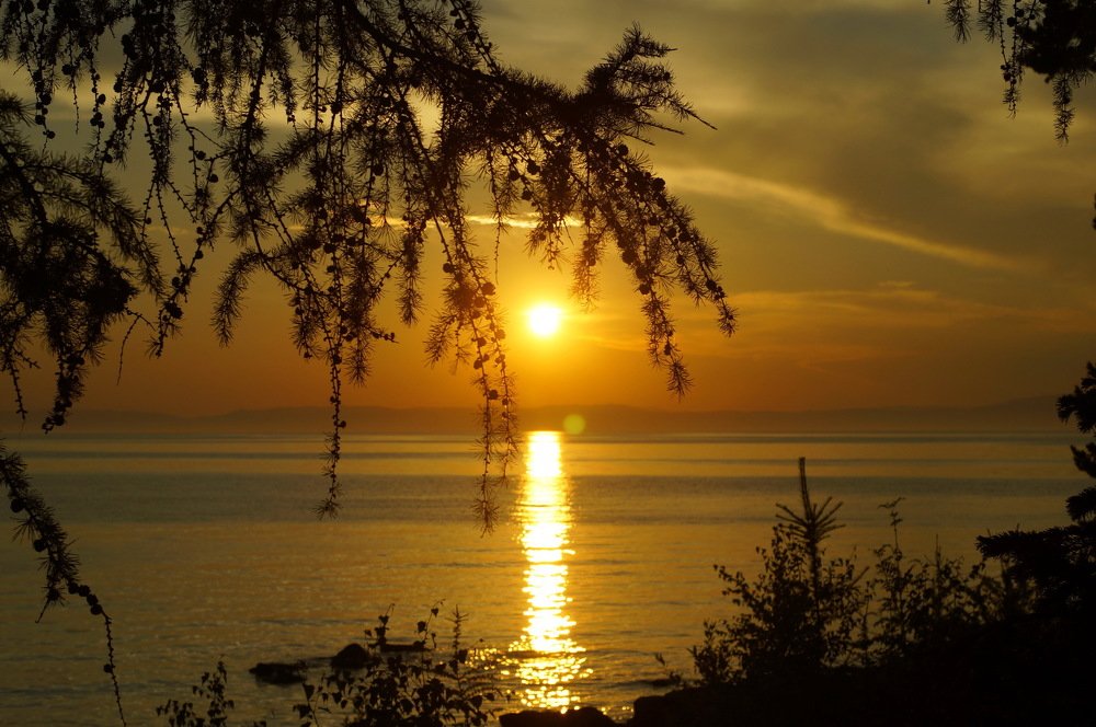 Photograph by Ольга Воронова