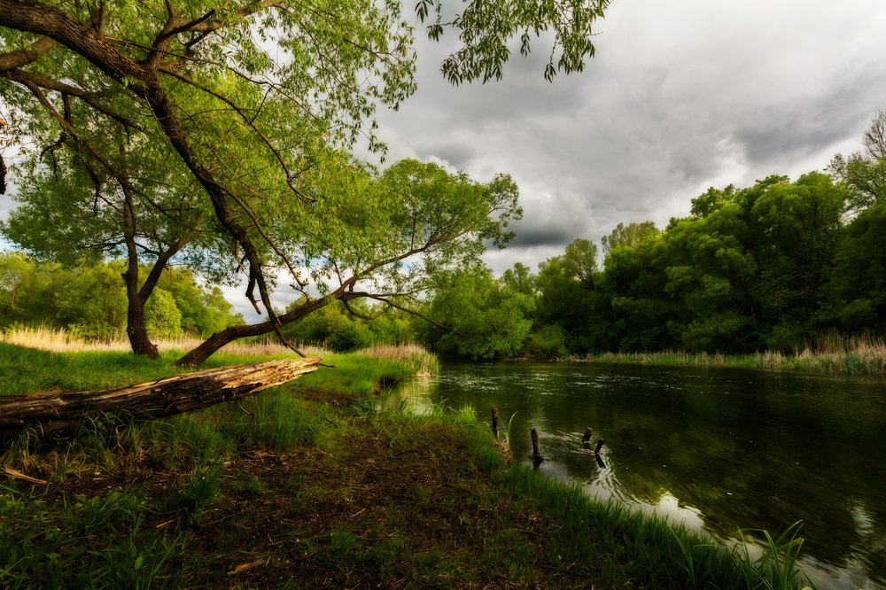 Photograph by Павел Абакумов