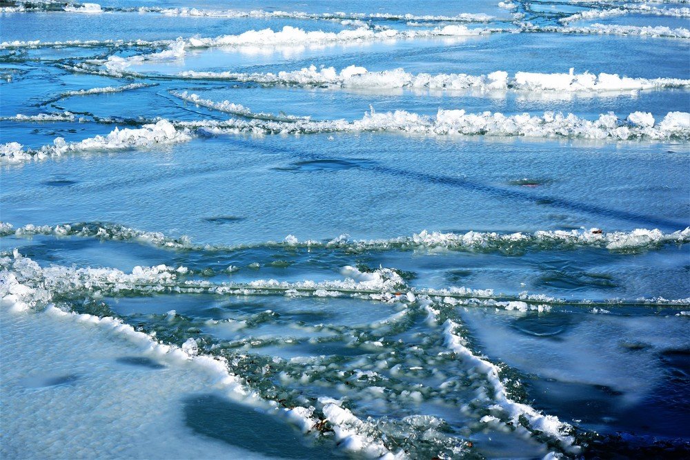 Photograph by Arkady Sandler