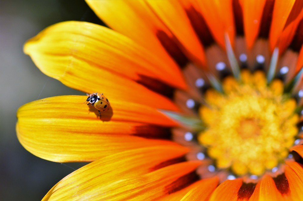 Photograph by Odysseas Christofides