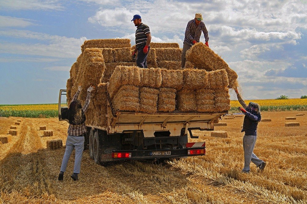 Photograph by Uğur kaygusuz