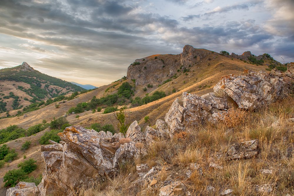 Photograph by Марина Назарова