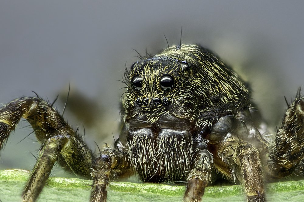 Photograph by Армен Майтесян