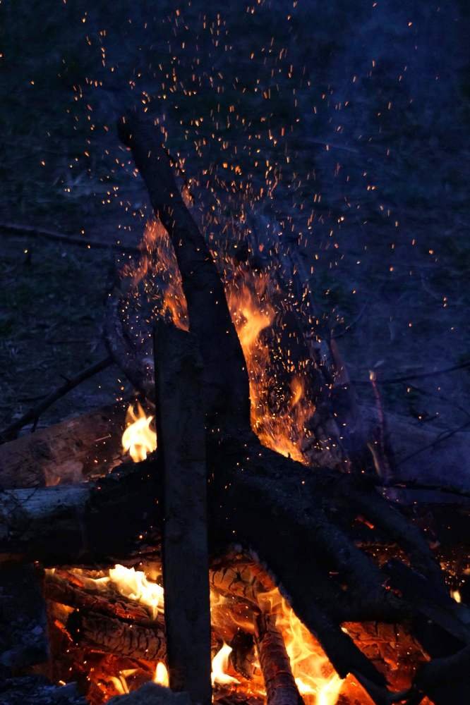 Photograph by Елена Хорошильцева