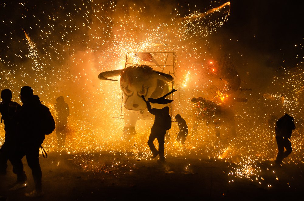 The man vs the beast