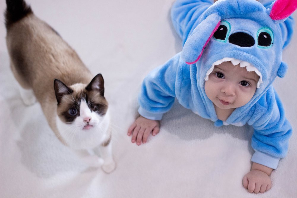 Photo #4616804