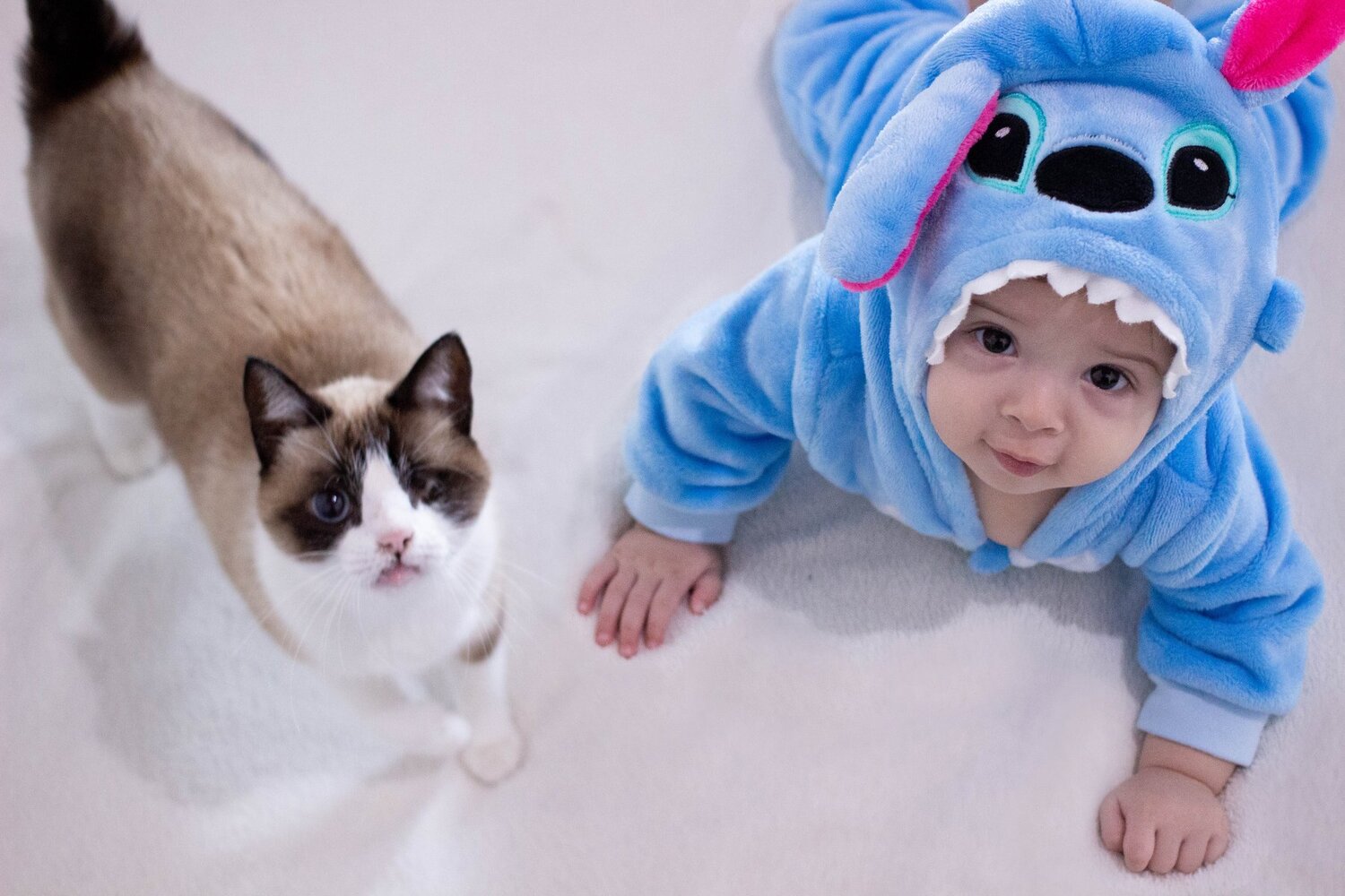 Photo #4616804